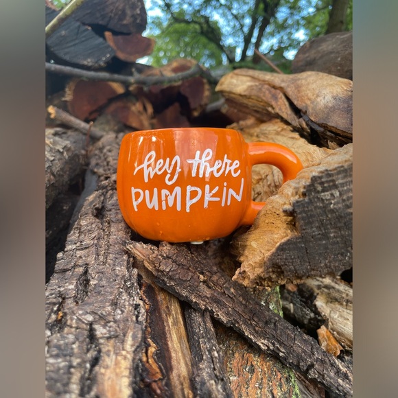 Pumpkin Planter - Picture 8 of 9